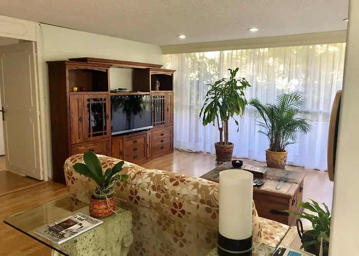 Acogedor Y Centrico Departamento En Polanco
