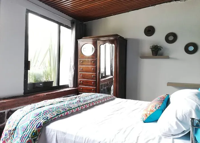 Room In House - Lavanda Suite Polanco, The Stay That You Deserve