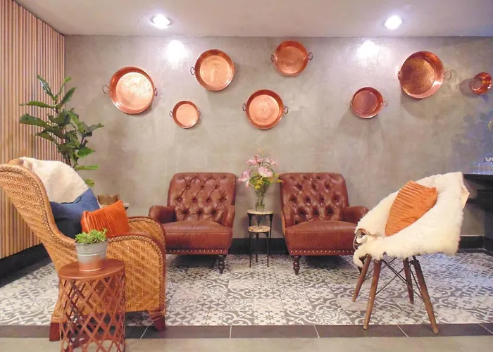 Suites Viveros Coyoacan I Hospedaje A Tu Medida