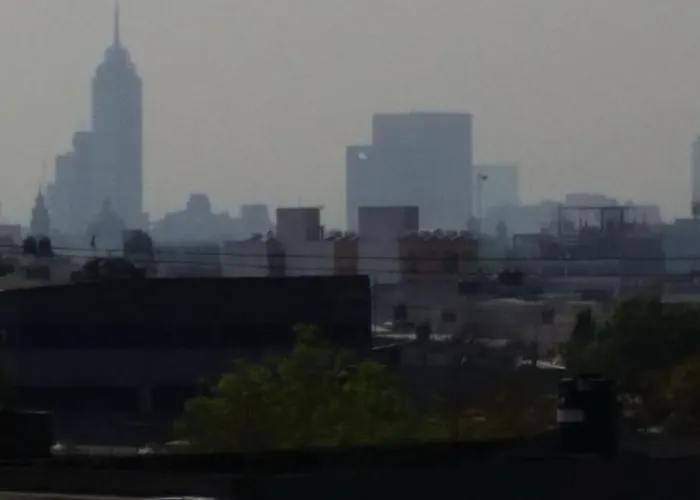 Cuarto Basico Compartido