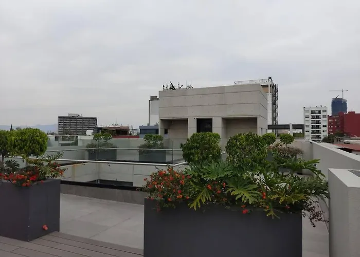 New Beautiful Apartment Near Reforma