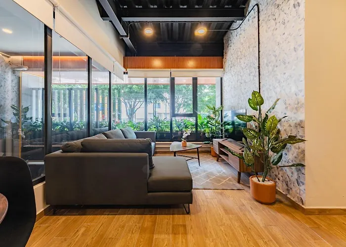 Roma Norte Apartments By Vh