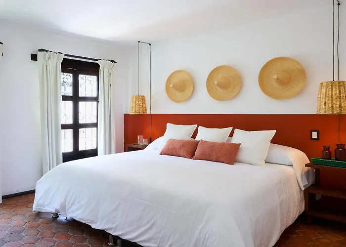 Amazinn Stay Cdmx Coyoacan