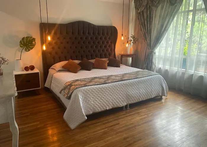 Morada Luna Condesa