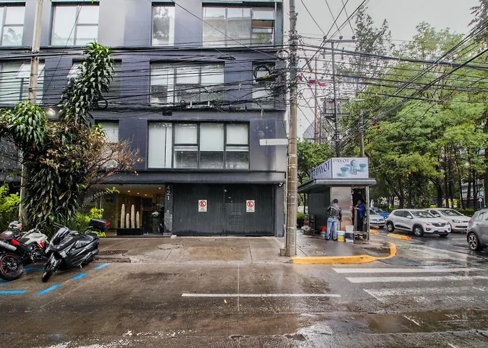Jvm 429, In Polanco By Blueground