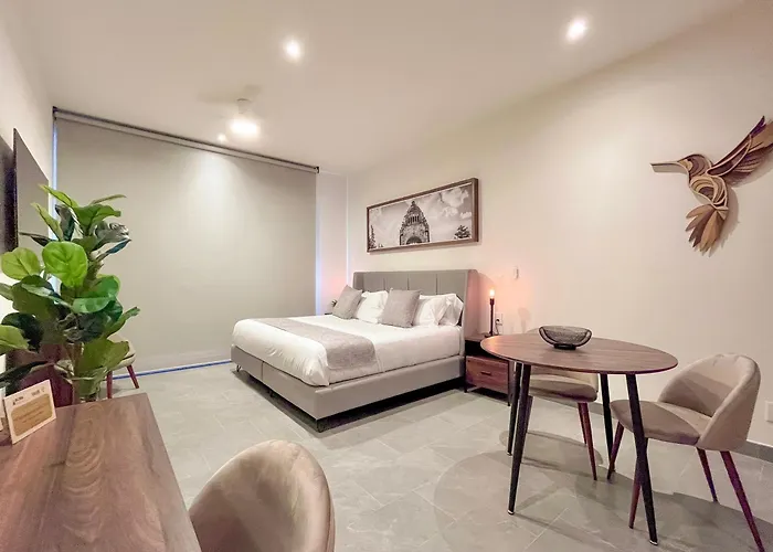 Mi Zona Lodging Reforma