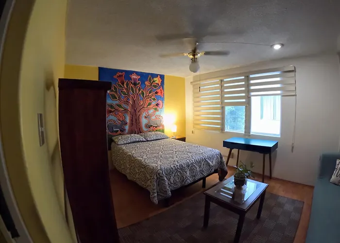 Neighbor Of Frida Khalo, Vintage Stay In Coyoacan