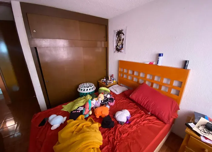 habitacion en conjunto el laurel
