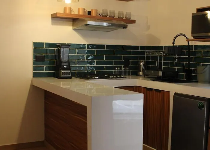Coliving Roma Norte Loft Gaviota