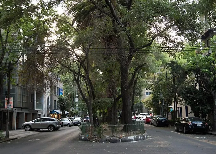 Loft In The Fun Part Of Condesa
