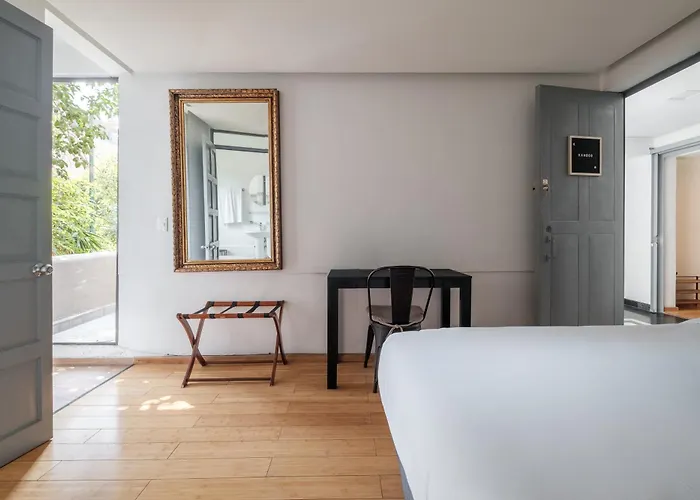 Senda Stays Condesa