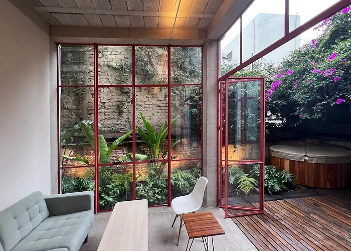 Xolo Condesa