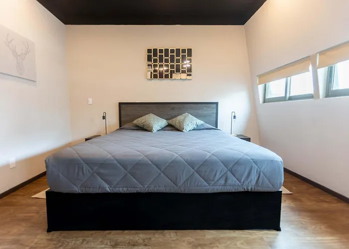505 Heart Of Cdmx 1Bdrm 1Bath Apt Ac Rooftop