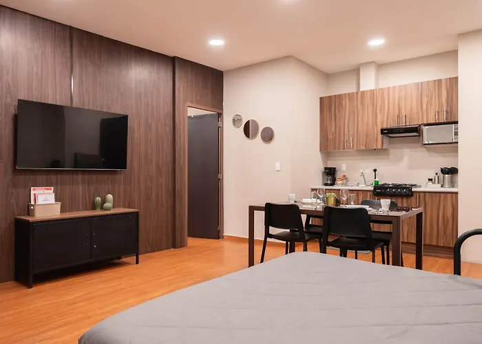 307 Spacious AC apt Historic CDMX Rooftop