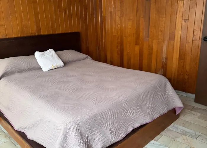 Pichu Home Alamos