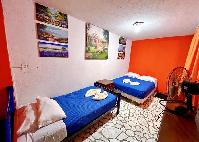 Casita Del Arbol