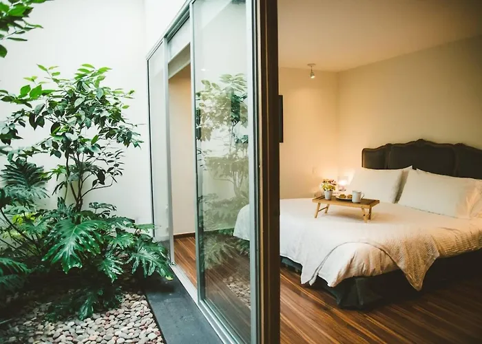 Polanco Beautiful One-Floor House With Garden
