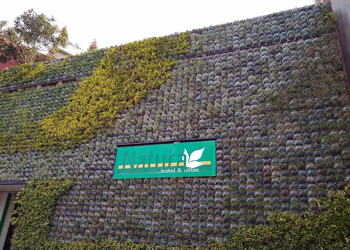 自然别墅旅馆