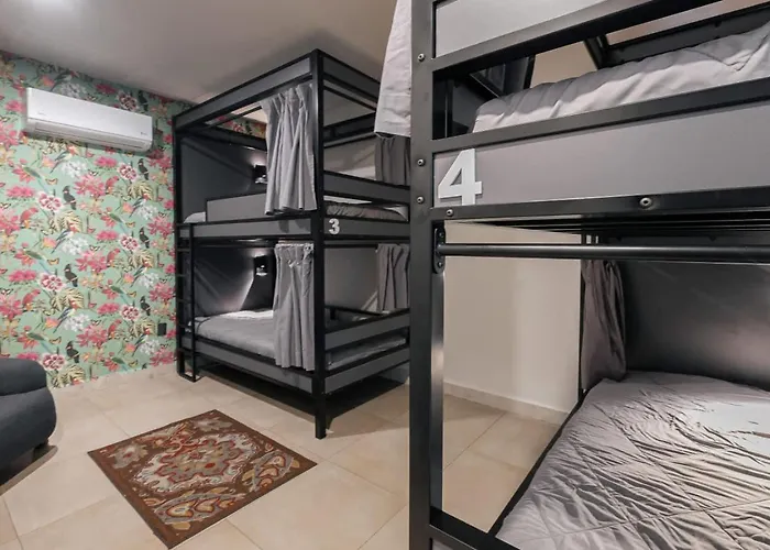 Top Bed Mixed Shared Room