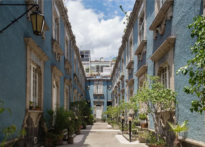 Azul Cordoba By The Local Way