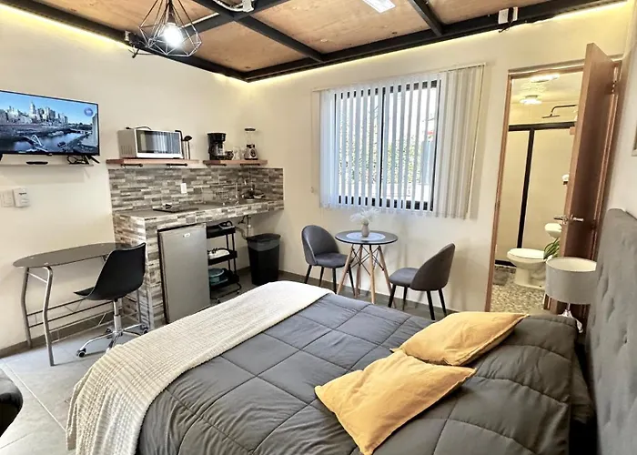 Hermoso E Iluminado Departamento Con Aire Acondicionado Citla 9