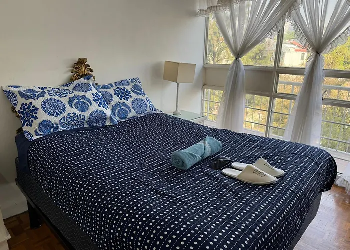 Central, Comfortable & Bright Room In Roma Norte, Mexico City