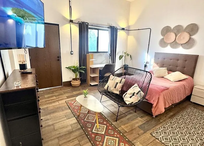 Large, Well-Lit Apartment 4