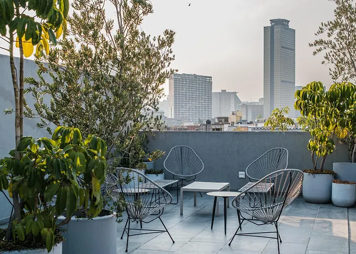 An Apartment In The Heart Of Mexico City