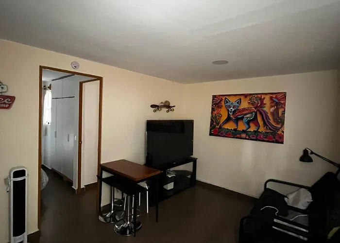 El Alebrije Habitacion Plus En Coyoacan