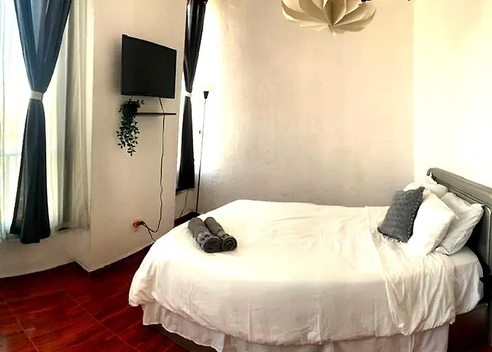 Historic Apartment Casa El Fenix Cdmx