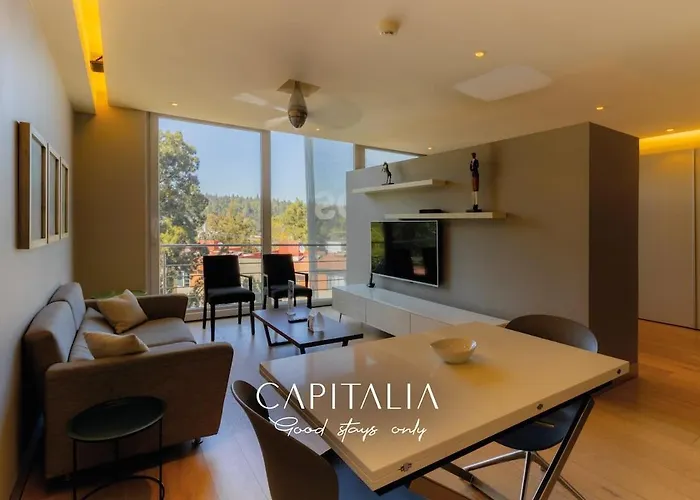 Capitalia Peaceful Stay In Southern Cdmx With Gym 104