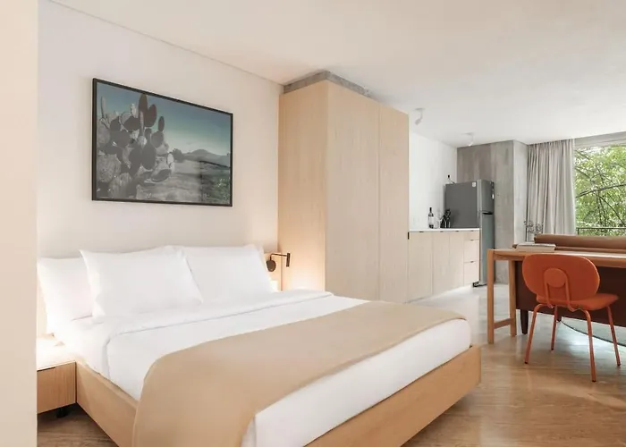 Modern Loft With Balcony & View Of Parque Mexico