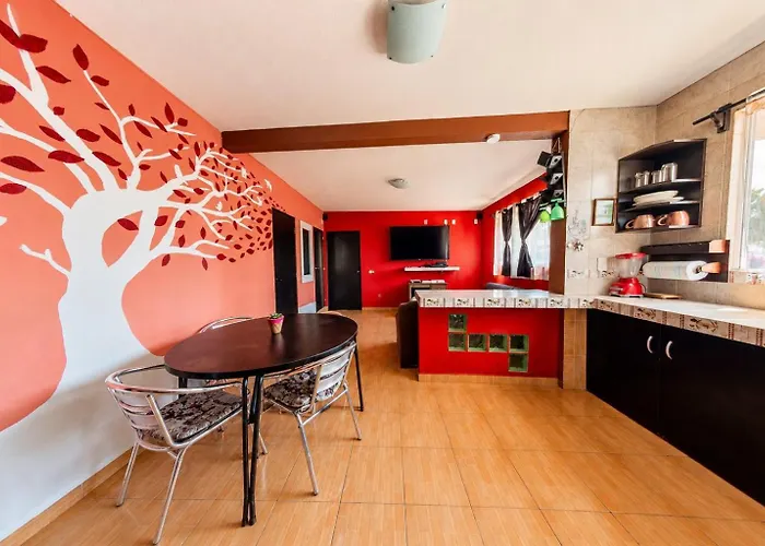 Harmony Coyoacan 1 O 2 O 3 Habitaciones Y 2 Banos En El Centro De Coyoacan