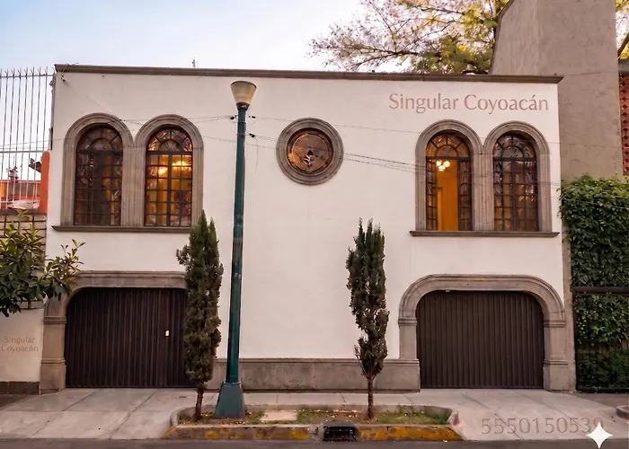 Singular Coyoacan Pepper My Love!