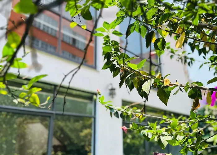 World Cup Ready, Casa Moderna Y Espaciosa En Cdmx - Benito Juarez