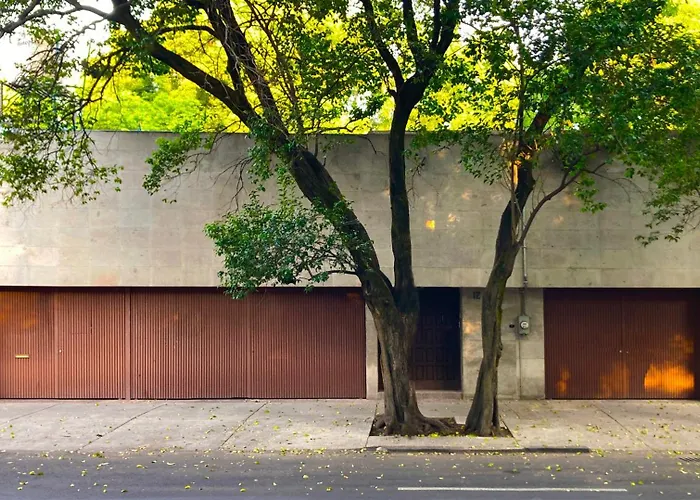 Mi Otra Casa Coyoacan