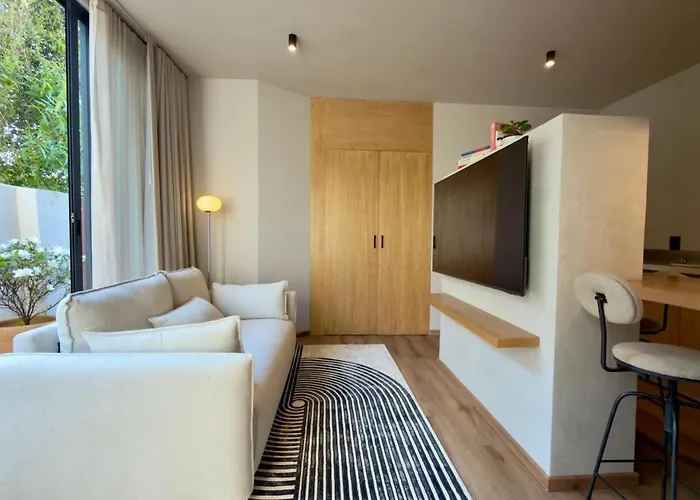New Cozy Designer Studio In Authentic Roma Norte