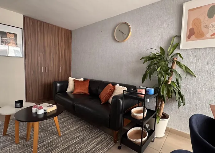 Lovely Apartment 1 Gnp Stadium Palacio De Los Deportes