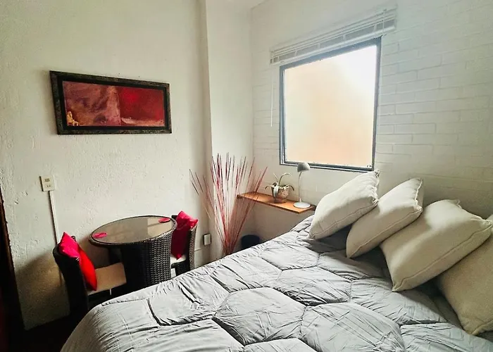 Most Elegant And Artsy Independent Studio In Condesa
