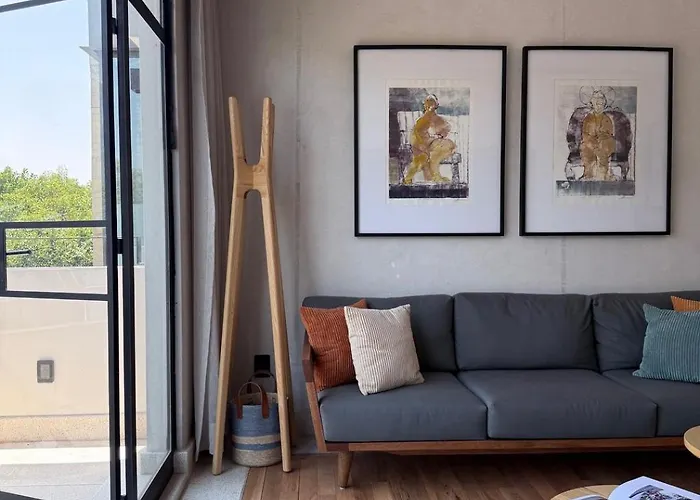 Design Apartment In Beautifully Restored Building In Roma Norte
