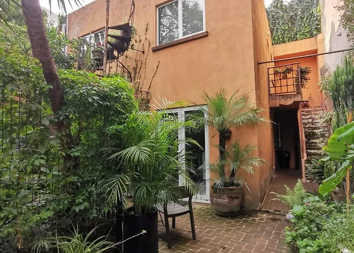 Oasis San Miguel 2