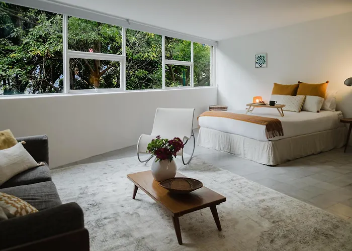 The Light Loft Bright Studio In Condesa