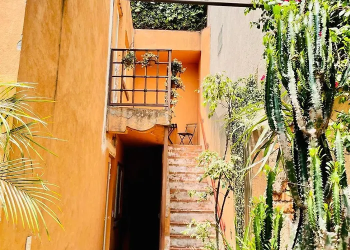 Oasis San Miguel 1
