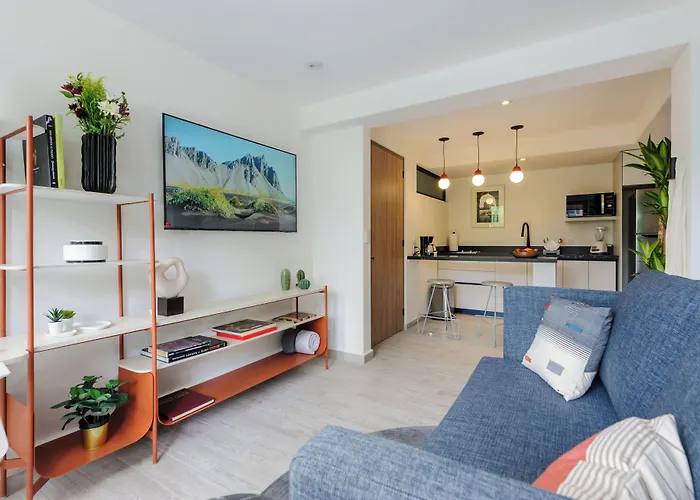 Choapan 28 - Lux Apartments In Condesa