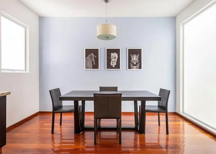 Condesa Residence Amsterdam D Sunny 2Bed 1Bath Apt In Condesa