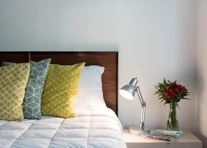 Condesa Residence Campeche 3 Charm 2Br 1Ba Apartment With Expansive Living Space