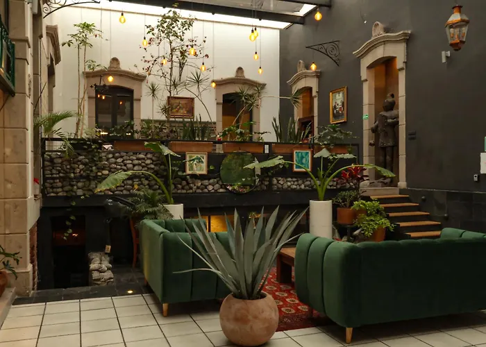 Sanrafa Mx Y Casa Sanrafa