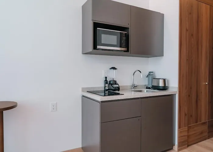 Condesa Residence - Roma Luxury Suite 502