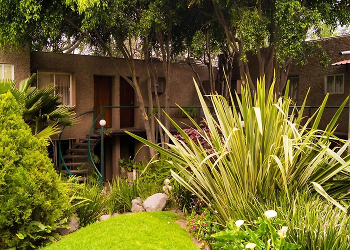 Suite 3B La Paz, Welcome To San Angel