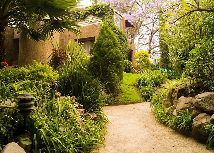 Suite 5A, Altavista, Garden House, Welcome To San Angel